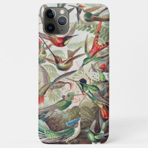 Kolibrie, Trochilidae Kolibris door Ernst Haeckel iPhone 11 Pro Max Hoesje