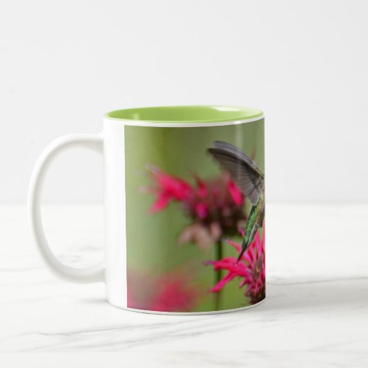 Kolibrie Two-Tone Mok (Links)