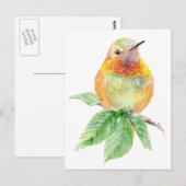 Kolibrie, Vogel, Natuur, Wildlife, Briefkaart (Voorkant / Achterkant)