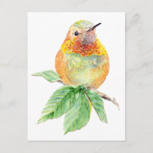 Kolibrie, Vogel, Natuur, Wildlife, Briefkaart
