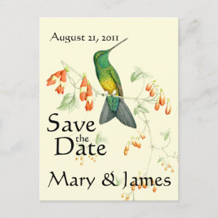Kolibrie Vogelbloem Floral Save the Date Aankondigingskaart