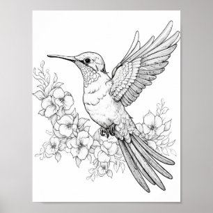 Kolibrie volwassen kleuring poster