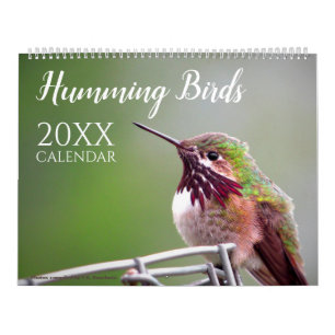 Kolibriekalender Natuur Wilde Dieren Foto's Kalender