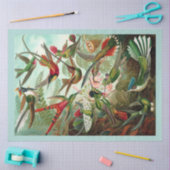 Kolibries Decoupage Tissue Paper Tissuepapier (Craft)