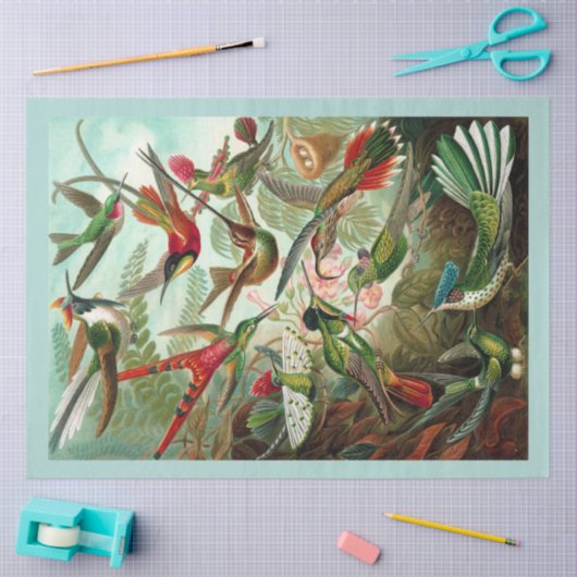 Kolibries Decoupage Tissue Paper Tissuepapier (Craft)