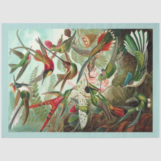 Kolibries Decoupage Tissue Paper Tissuepapier (Voorkant)