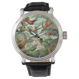Kolibries door Ernst Haeckel, Oude Vogels Bomen Horloge
