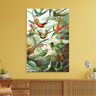 Kolibries door Ernst Haeckel, Vintage Vogels Bomen Canvas Afdruk
