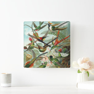 Kolibries door Ernst Haeckel, Vintage Vogels Bomen Vierkante Klok