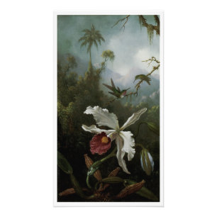 Kolibries en witte orchidee door Martin J. Heade Foto Afdruk