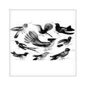 Kolibries Gemengde Scrapbooking Rubber Stamp Rubberstempel (Afrduk)