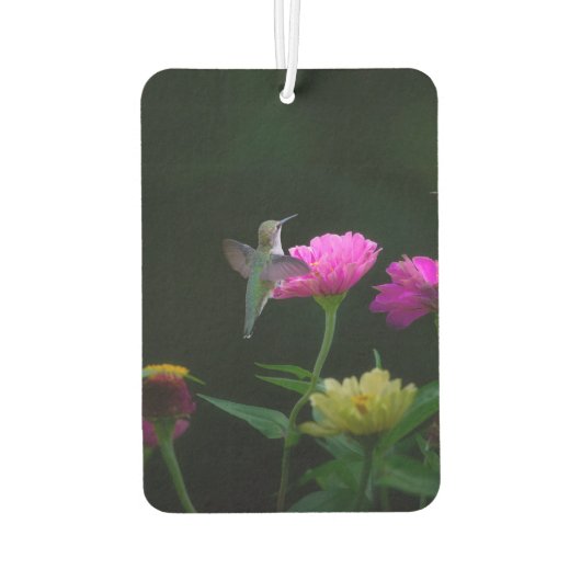 Kolibries keer twee auto luchtverfrisser (Achterkant)