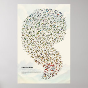 Kolibries - Licht Poster