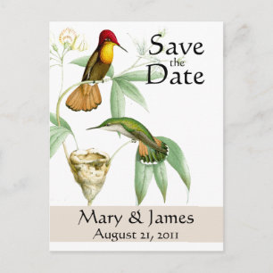 Kolibries Save the Date Briefkaart