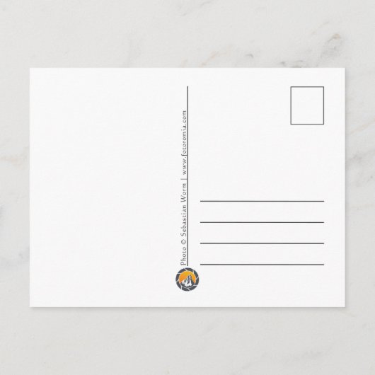 Köln Duitsland Feestdagenkaart (Achterkant)