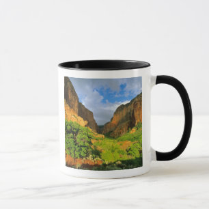 Kolob Canyon bij Zion Canyon in Zion National Mok