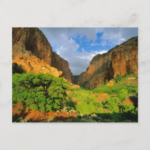 Kolob Canyon in Zion Canyon in Zion National Briefkaart