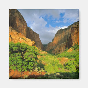 Kolob Canyon in Zion Canyon in Zion National Magneet