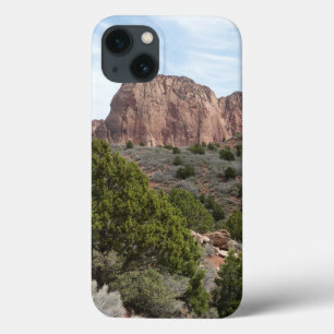 Kolob Canyons in Zion National Park iPhone 13 Hoesje