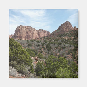 Kolob Canyons in Zion National Park Magneet