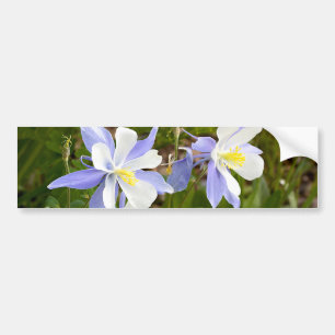 Kolomfamilie Bumpersticker