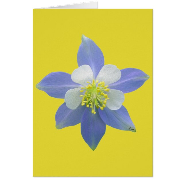 Kolomkolom 2 (Voorkant)