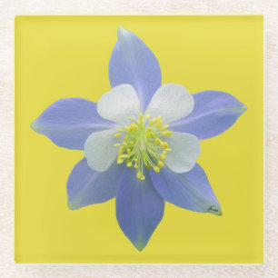 Kolomkolom 2 glazen onderzetter