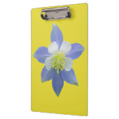 Kolomkolom 2 klembord (Links)