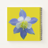 Kolomkolom 2 notitieboek (Achterkant)