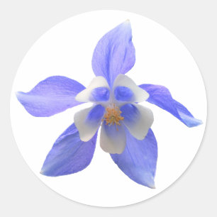 Kolommen 158 ~ sticker