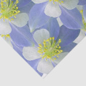 Kolommen 2 tissuepapier (Detail)