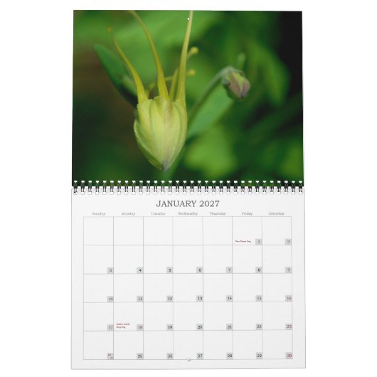 Kolommen Kalender (Jan 2027)