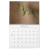 Kolommen Kalender (Mar 2026)