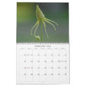 Kolommen Kalender (Feb 2026)