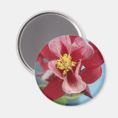 Kolomventilator Magneet (Voorkant / Achterkant)