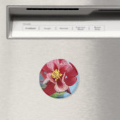 Kolomventilator Magneet (Insitu (Vaatwasser))