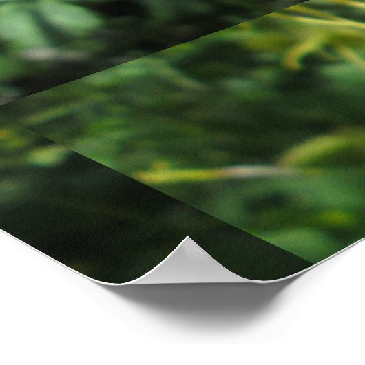 Kolomventilator Poster (Hoek)