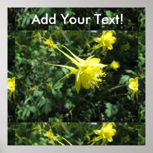 Kolomventilator Poster