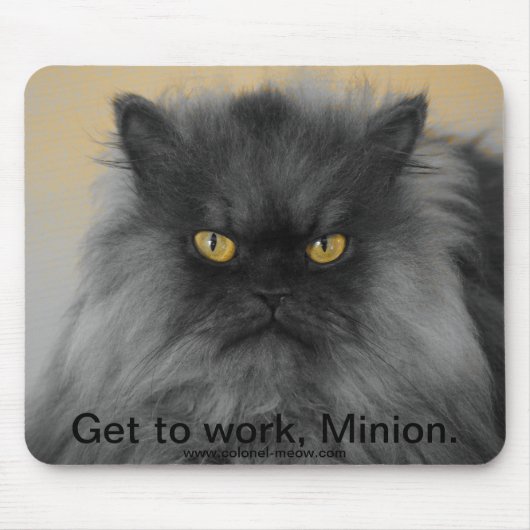 Kolonel Meow Muismat (Voorkant)