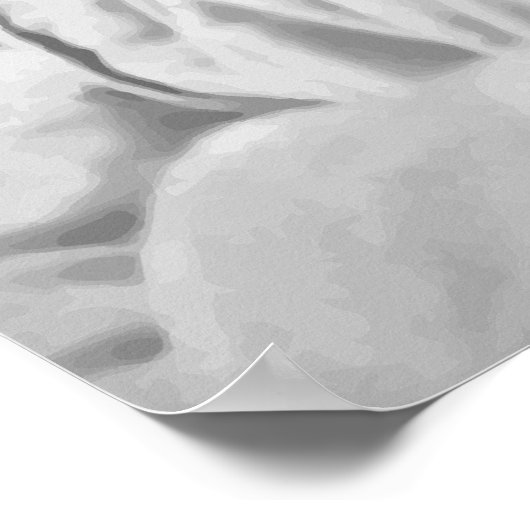 Kolonel Roosevelt Poster (Hoek)