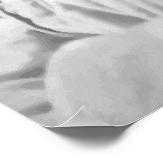 Kolonel Roosevelt Poster (Hoek)