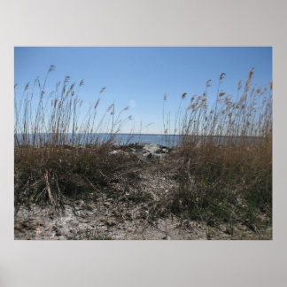 Koloniaal strand 1 poster