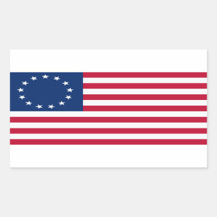 Koloniale Amerikaanse vlagvarken Rechthoekige Sticker