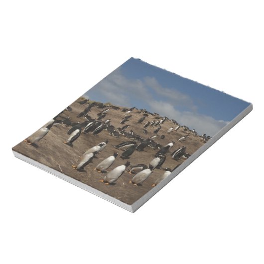 Kolonie Gentoo Penguin (Pygoscelis papua) in het w Notitieblok (Gedraaid)