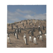 Kolonie Gentoo Penguin (Pygoscelis papua) in het w Notitieblok (Voorkant)