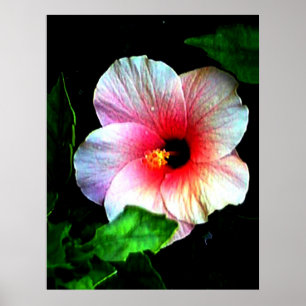 Kolossale 72" x 52" en 52" x 72" Art. Giclée Poster