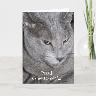 Kom dichterbij Kaart