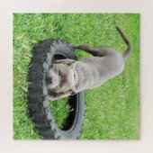 Kom en speel Staffy, puzzel (Horizontaal)