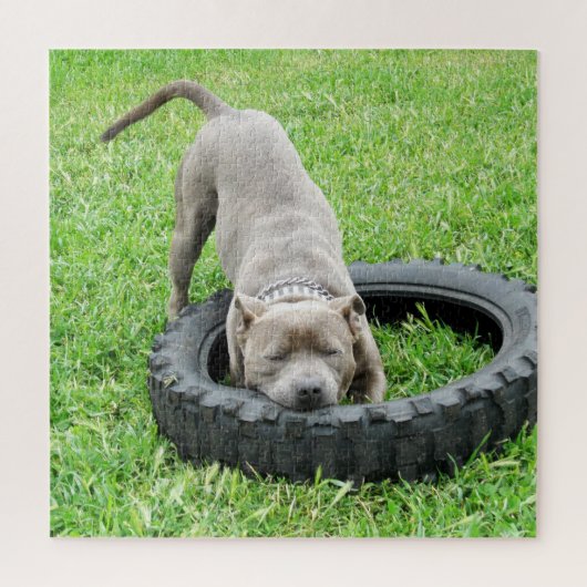 Kom en speel Staffy, puzzel Legpuzzel (Verticaal)