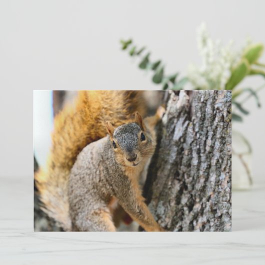 Kom je mee? (Staand voorkant)